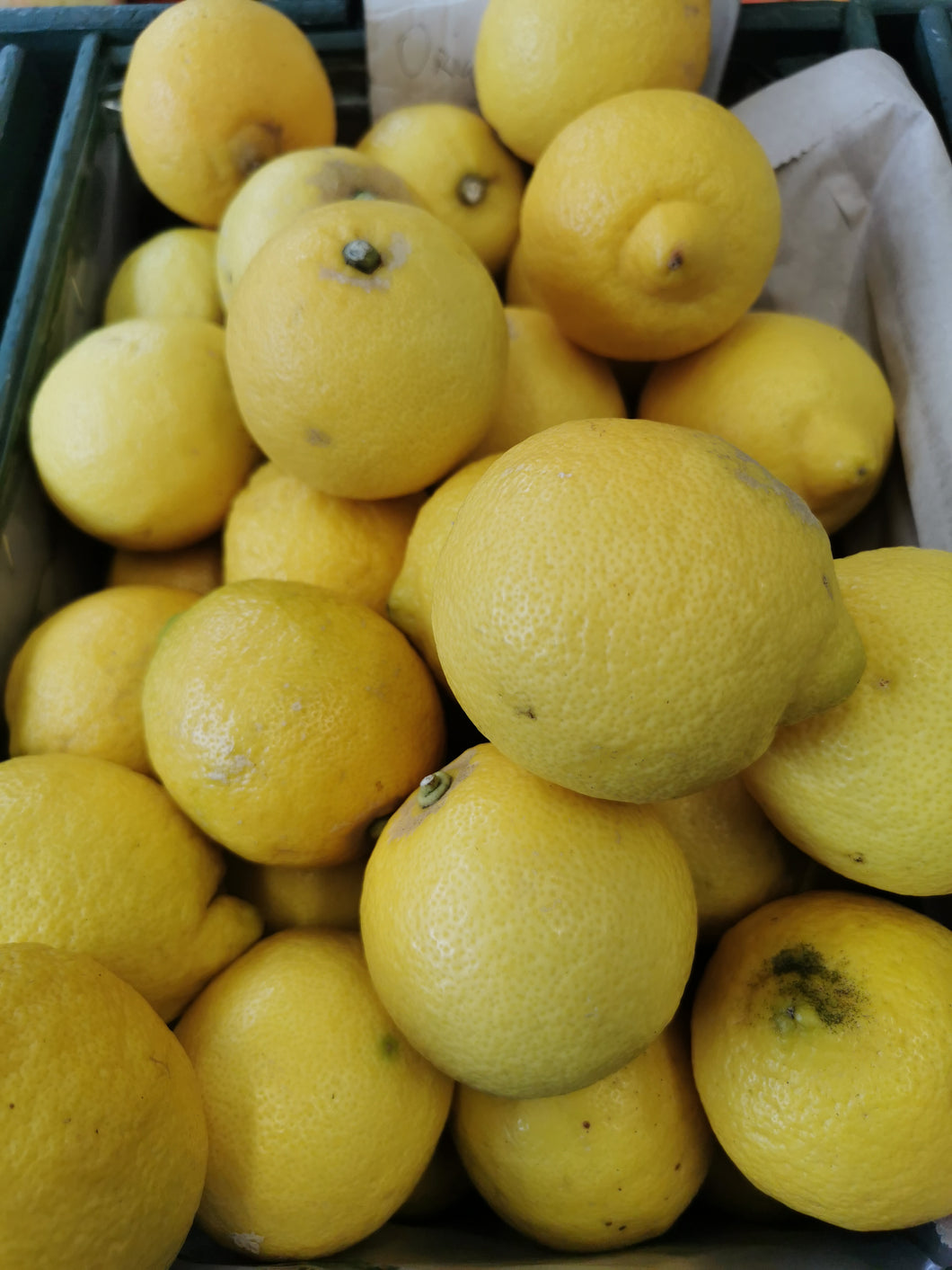 Organic Lemons  60c each