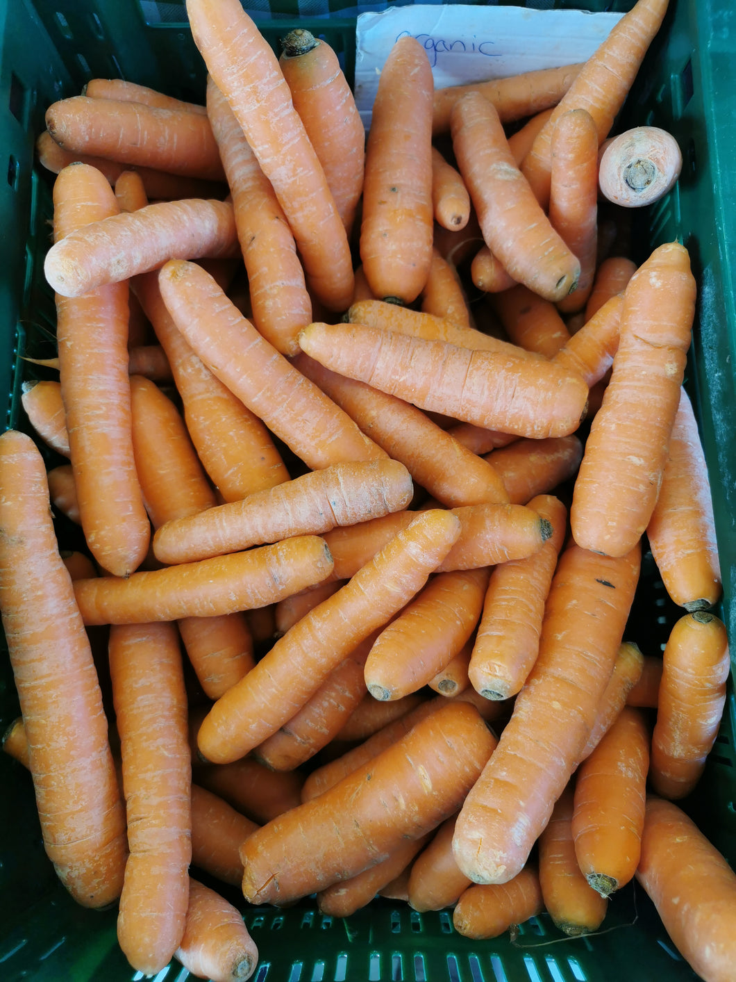 Organic Carrots 5kg