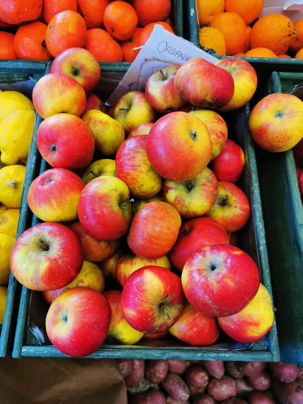 Organic Apples - 5kg