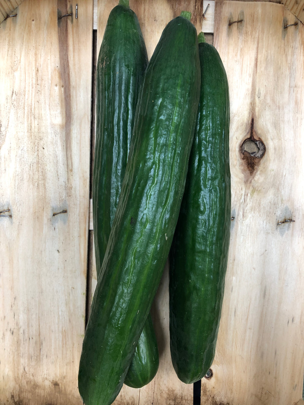 Organic Cucumbers -2.50 each.