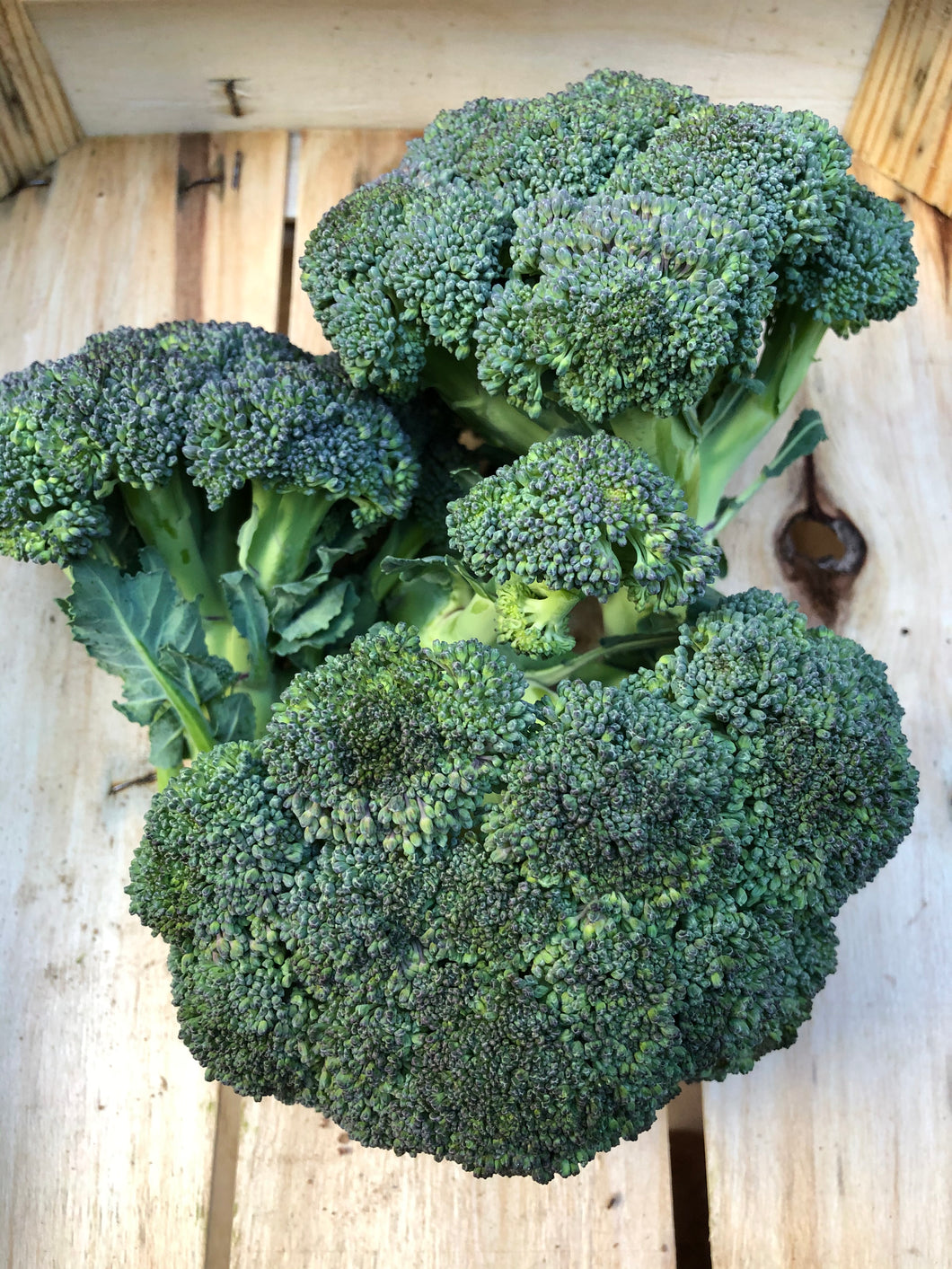 Organic Broccoli - 500g.