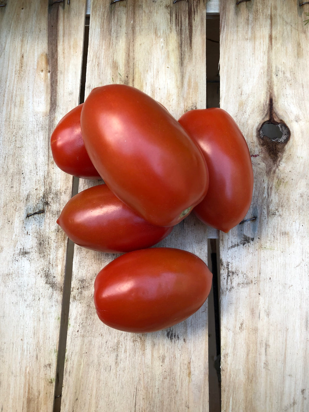Organic Roma Tomatoes - €3.25 per 500g