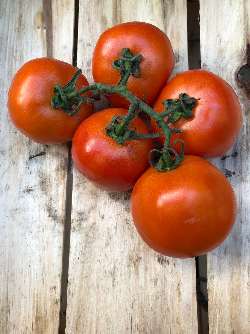 Organic Vine Tomatoes - €3.25 per 500g