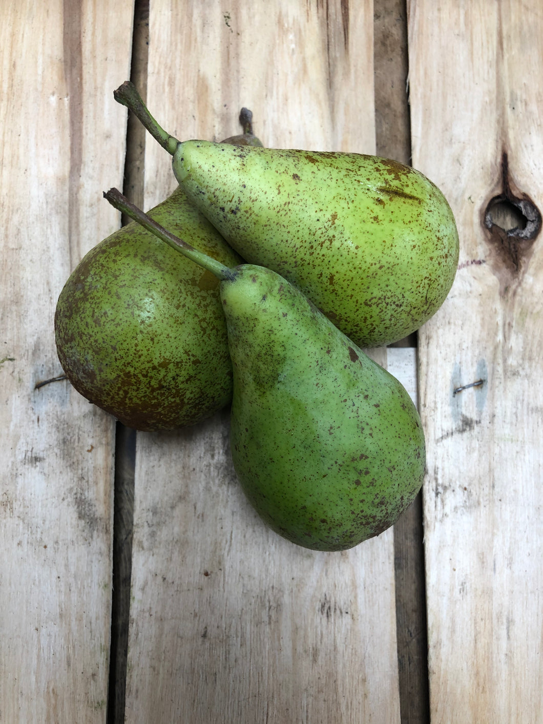 Organic Pears - 95c each