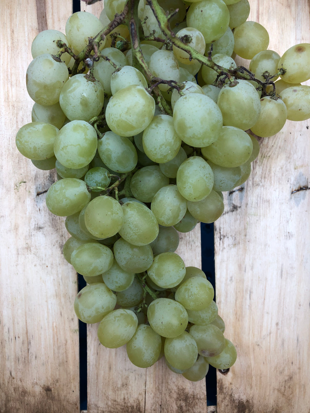 Organic Green Grapes - €2.99 per 350g