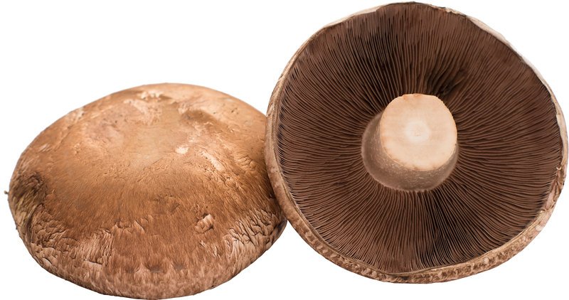 Organic Mushrooms - Potobello 300g