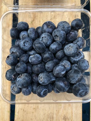 Organic Blueberries 125g